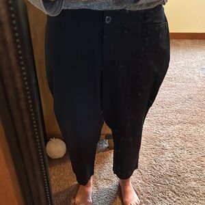 Loft Curvy Crop Pant